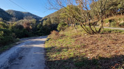 Collias_23_12-4