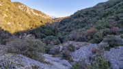 Collias_23_12-40