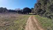 Collias_23_12-43