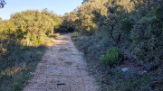 Collias_23_12-44