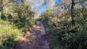 Collias_23_12-45