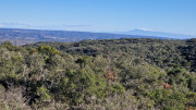 Collias_23_12-49