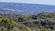 Collias_23_12-50
