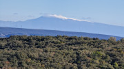 Collias_23_12-51
