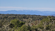 Collias_23_12-53