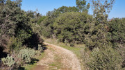 Collias_23_12-54