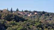 Collias_23_12-56