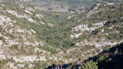 Collias_23_12-57