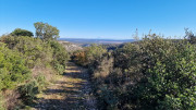Collias_23_12-58