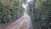 Collias_23_12-6