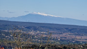 Collias_23_12-60