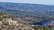 Collias_23_12-61