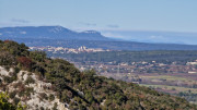 Collias_23_12-62