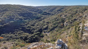Collias_23_12-63