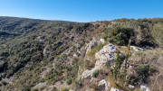 Collias_23_12-64