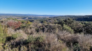 Collias_23_12-65