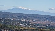 Collias_23_12-68