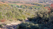Collias_23_12-69