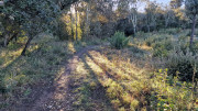 Collias_23_12-7