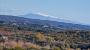 Collias_23_12-73