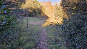 Collias_23_12-74