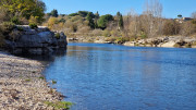 Collias_23_12-77