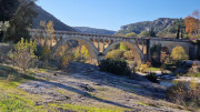 Collias_23_12-79