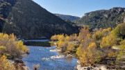 Collias_23_12-81