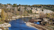 Collias_23_12-82