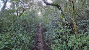 Collias_23_12-9