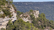 Lauret_23_12-107