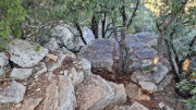 Lauret_23_12-121