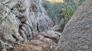 Lauret_23_12-123