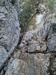 Lauret_23_12-124