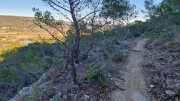 Lauret_23_12-130