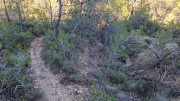 Lauret_23_12-133
