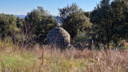 Lauret_23_12-14