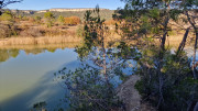 Lauret_23_12-140