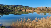Lauret_23_12-144