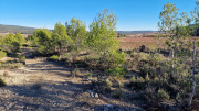 Lauret_23_12-147