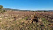 Lauret_23_12-148