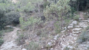 Lauret_23_12-155