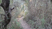 Lauret_23_12-160