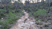 Lauret_23_12-162
