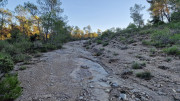 Lauret_23_12-176
