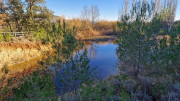 Lauret_23_12-18