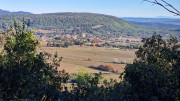 Lauret_23_12-20