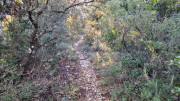 Lauret_23_12-22