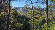 Lauret_23_12-23