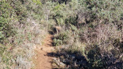 Lauret_23_12-39